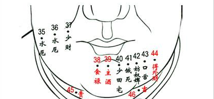 中国传统痣相学：男人面部痣相全解（可收藏）