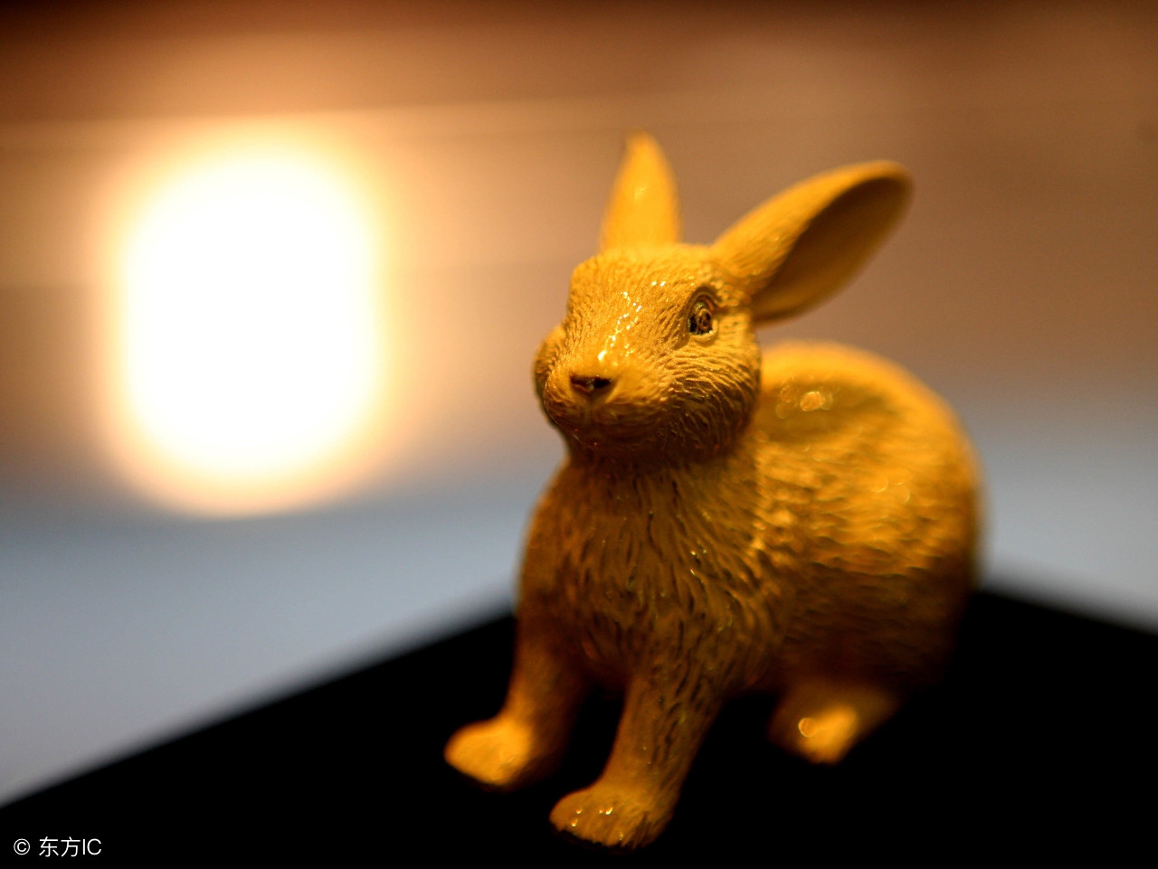 1987年属兔者，丁卯年是：野兔（火兔）命炉中火，命火兔聪明机智
