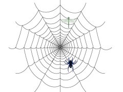 梦见蜘蛛网是什么意思 做梦梦到蜘蛛网好不好