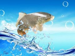 梦见鱼从水里跳出来是什么意思 做梦梦到鱼从水里跳出来好不好