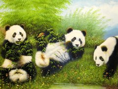 梦见熊猫说话是什么意思