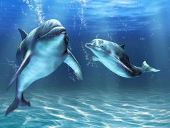 梦见杀海豚是什么意思