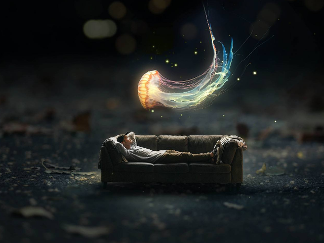 人类在夜晚会做各种稀奇古怪的梦，科学是怎么解释梦境的？